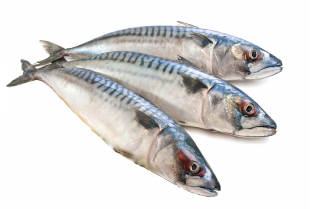 WHOLE AROUND MACKEREL